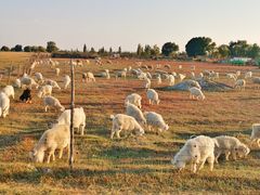 -亿利库布其七星湖沙漠生态旅游区