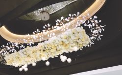 -艾米丽婚纱礼服