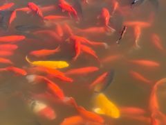 -狼山风景名胜区