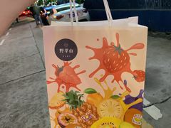 -野萃山·潮汕厚果汁(十亩地店)