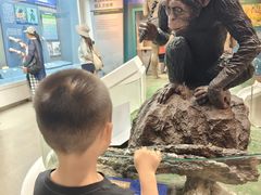 -国家自然博物馆