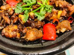 野菌干锅鸡-陶德砂锅(蜀汉路店)