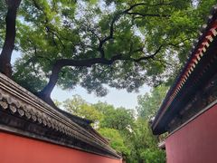 -北京植物园南门售票处