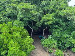 -东寨港红树林旅游区