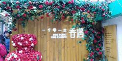-香遇沙龙香水·调香·团建