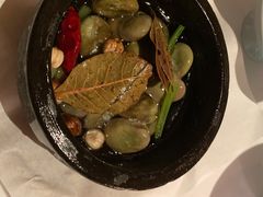 葱油蚕豆-西郊5号·Maggie 5