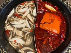 -苏州金科大酒店