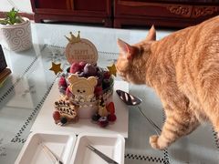 -EnergyCake蛋糕理想国