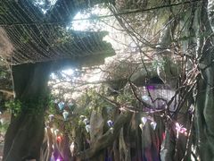 -横店影视城梦幻谷园区