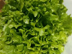 -掂档潮汕牛肉火锅(沈阳万象城店)