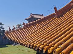 -沈阳市东陵公园