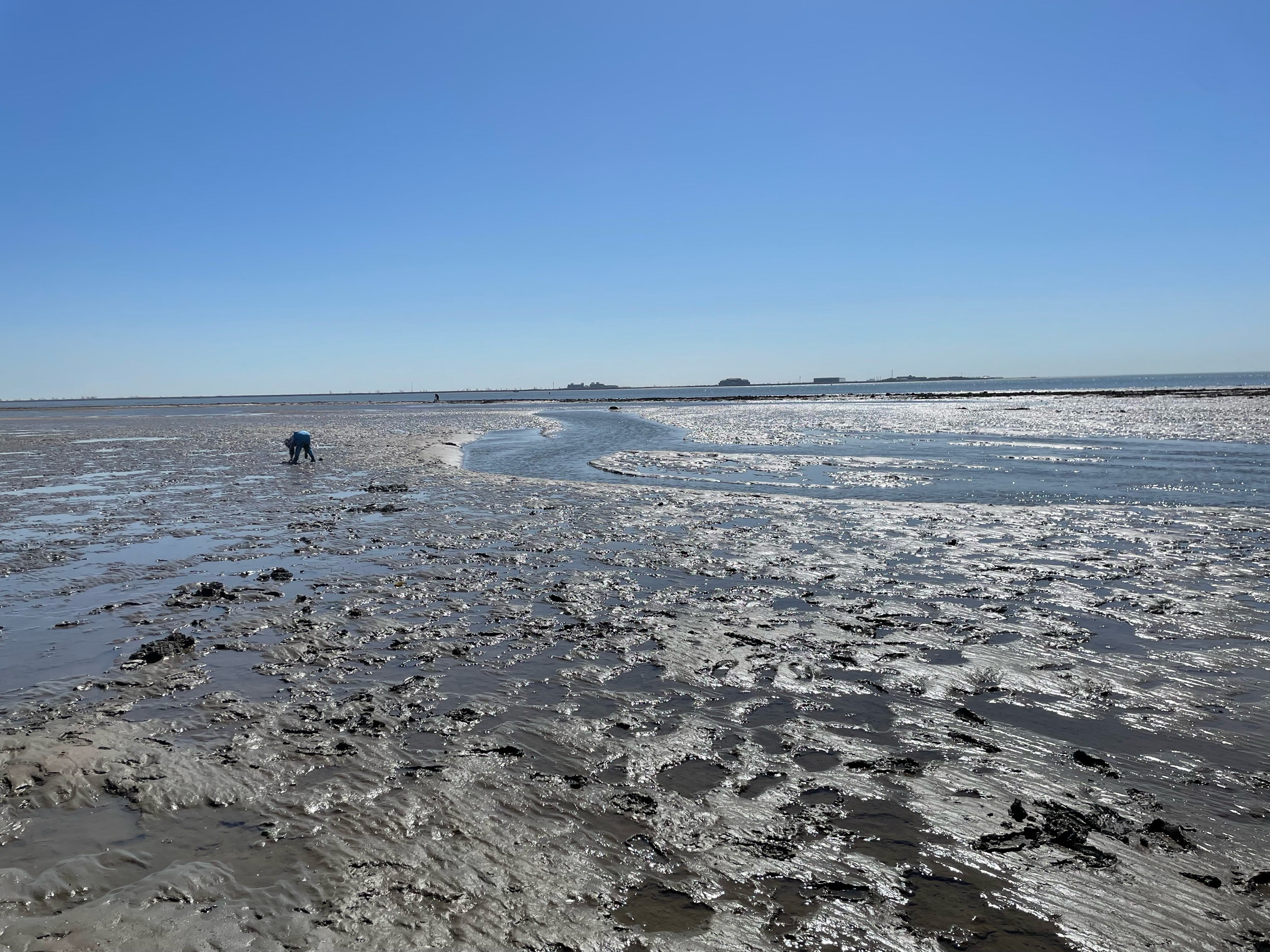 海水的诱惑 唐山赶海