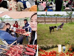 -栖露营camping·天幕烧烤·团建拓展·采摘营地