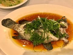 -彩福皇宴(皇室堡店)