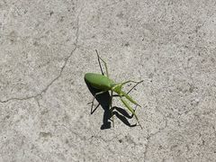 -北京上方山国家森林公园