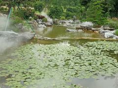 -东莞植物园