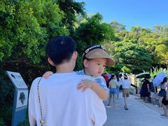 -广东惠东海龟国家级自然保护区