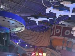 -烟台海昌鲸鲨海洋公园
