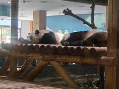 -西安秦岭野生动物园