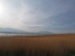 -盐湖景区