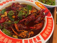 -阿财老铺·老蚌埠龙虾城(华夏总店)