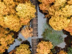 -桤木河湿地公园