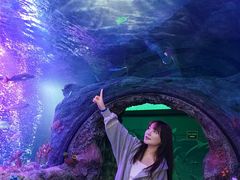 -沈阳海洋探索中心