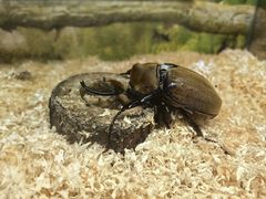 -上海昆虫博物馆