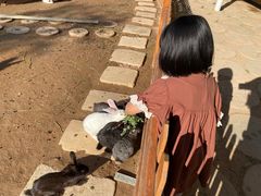 -桑干河大峡谷旅游区