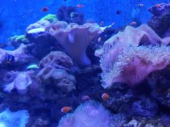 -多彩贵州城极地海洋世界