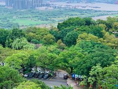 -广州莲花山旅游区