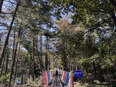 -沂蒙山旅游区云蒙景区(蒙山国家森林公园)