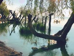 -捞渔河湿地公园