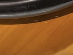-盛江山自助料理(太原街万达店)