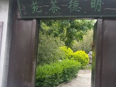 -北京凤凰岭