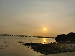 -宝安西湾红树林湿地公园