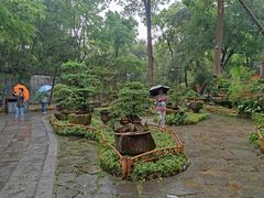 -成都武侯祠博物馆