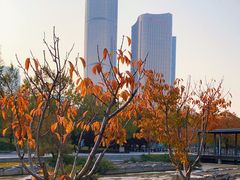 -大望京公园