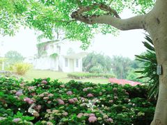 -广西壮族自治区药用植物园