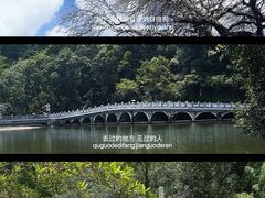 -深圳仙湖植物园