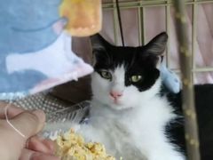 -东莞宠友24H宠物中心医院·转诊夜诊·异宠(新河北路院)