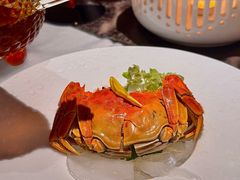 -甄御•海鲜新青岛菜(麦岛店)