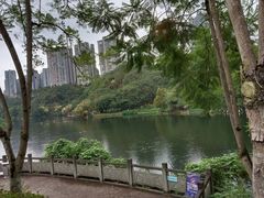 -重庆彩云湖湿地公园