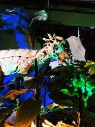 点击看大图 -恐龙探索乐园(磁器口店)