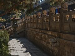 -张掖大佛寺景区