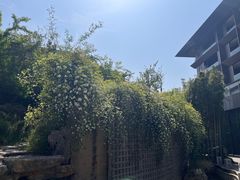-苏州阳澄半岛英迪格酒店