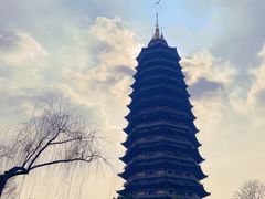 -红梅公园