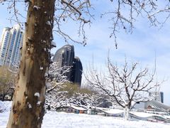 -朝阳公园游乐园