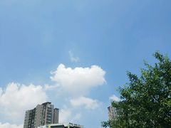 -梯坎豆花