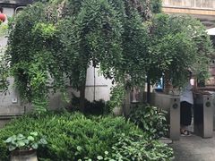 -枫泾古镇-人民公社旧址